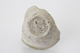 FileNo.163-278.jpg