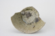 FileNo.163-280.jpg