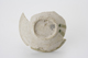 FileNo.163-284.jpg