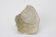 FileNo.163-286.jpg