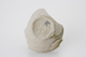 FileNo.163-287.jpg