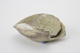 FileNo.163-302.jpg