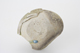 FileNo.163-303.jpg