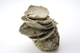 FileNo.163-306.jpg