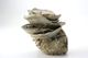 FileNo.163-307.jpg