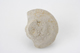 FileNo.163-311.jpg
