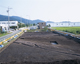 FileNo.165-003.jpg