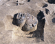 FileNo.165-014.jpg