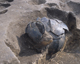 FileNo.165-015.jpg