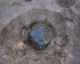 FileNo.165-017.jpg