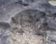 FileNo.165-018.jpg