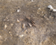 FileNo.165-024.jpg