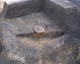 FileNo.165-033.jpg