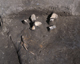 FileNo.165-037.jpg
