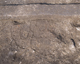 FileNo.165-039.jpg