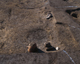 FileNo.165-049.jpg