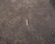 FileNo.165-053.jpg