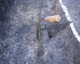 FileNo.165-054.jpg