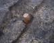FileNo.165-055.jpg