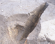 FileNo.165-065.jpg