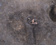 FileNo.165-068.jpg