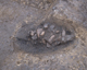 FileNo.165-075.jpg