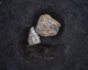 FileNo.165-079.jpg