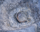 FileNo.165-087.jpg