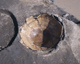 FileNo.165-107.jpg