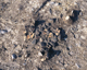 FileNo.165-113.jpg