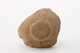 FileNo.165-145.jpg