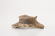 FileNo.165-153.jpg
