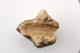 FileNo.165-163.jpg