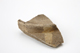 FileNo.165-198.jpg