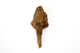 FileNo.165-213.jpg