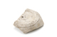 FileNo.165-229.jpg