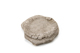 FileNo.165-233.jpg
