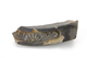 FileNo.165-308.jpg