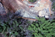 FileNo.164-011.jpg