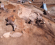 FileNo.164-014.jpg
