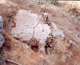 FileNo.164-016.jpg