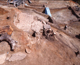 FileNo.164-018.jpg