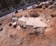 FileNo.164-019.jpg