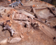 FileNo.164-025.jpg