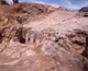 FileNo.164-026.jpg