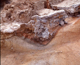 FileNo.164-031.jpg