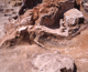 FileNo.164-033.jpg