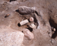 FileNo.164-036.jpg