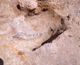 FileNo.164-040.jpg