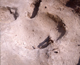 FileNo.164-041.jpg